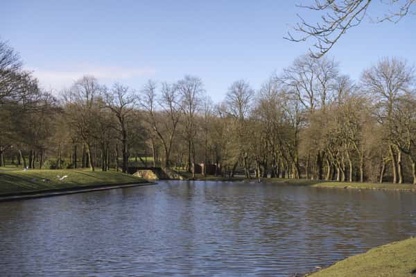 Brookfield Vale - Image 2