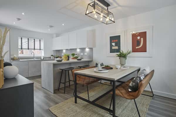 St James' Park - Image 7