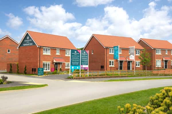 Newsam Rise - Image 2