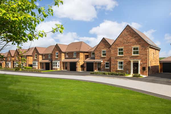 Bluebell Meadows - Image 3