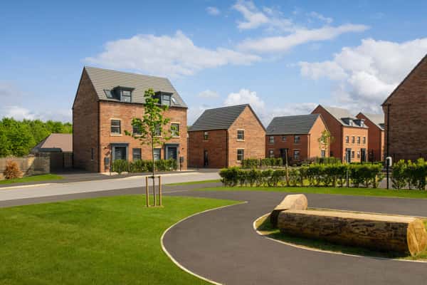 Bluebell Meadows - Image 5