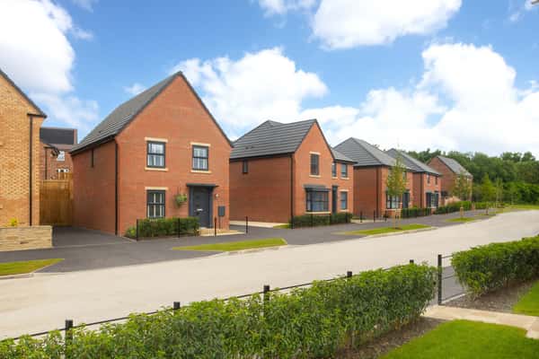 Bluebell Meadows - Image 7