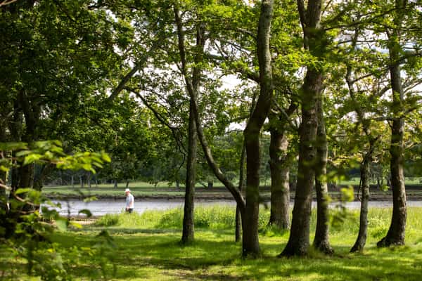 Boclair Mews - Image 10