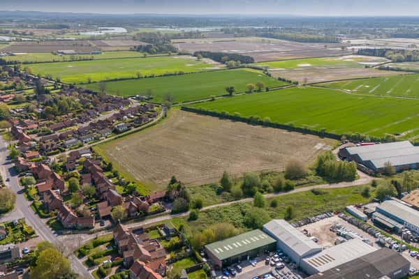 Bramble Wood - Image 3