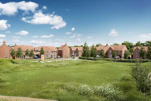 Bramble Wood - Image 8