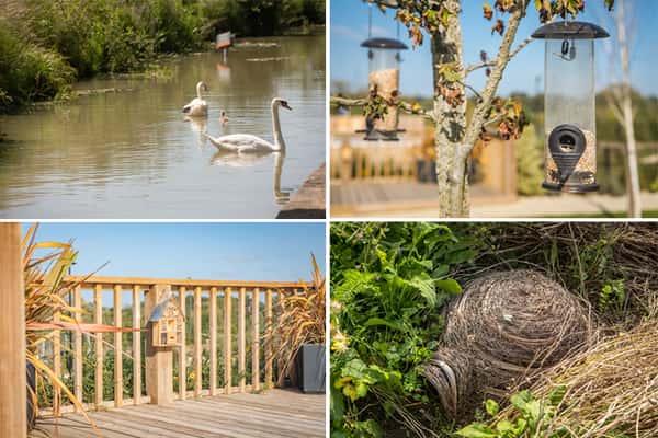 Brookside Meadows - Image 10