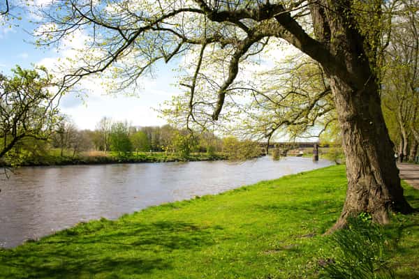 Calder Rise - Image 9