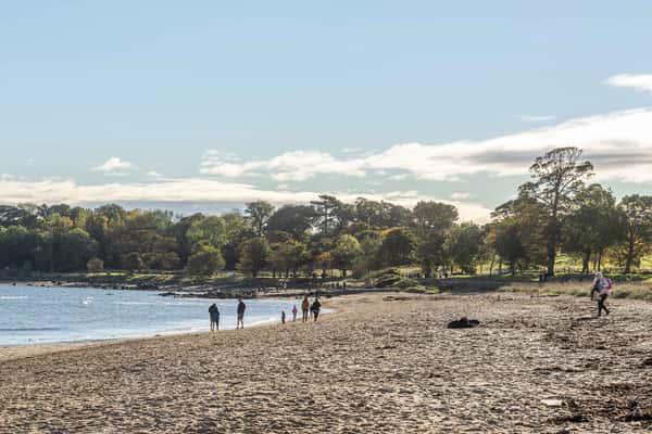 Cammo Meadows - Image 8