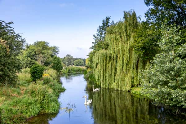 David Wilson Homes The Woodlands - Image 10