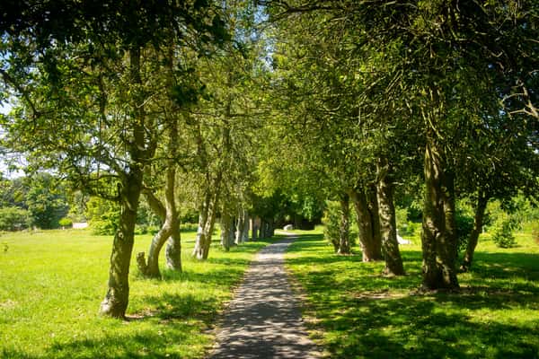 Doxford Green - Image 8