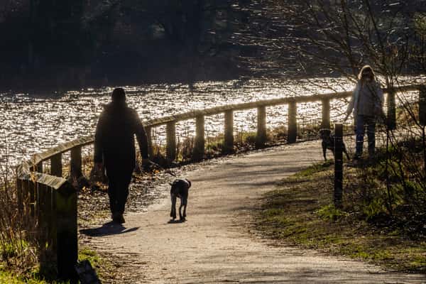 DWH @ Otter Stone Manor - Image 10