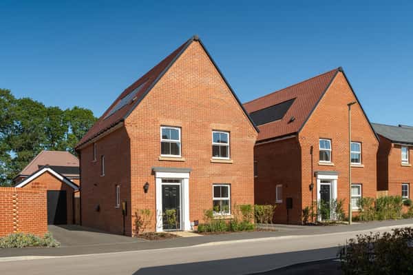 Forest Walk - Image 4