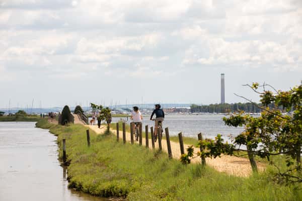 Forest Walk - Image 9