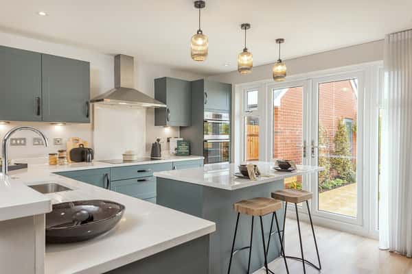 Francis Fields - Image 2