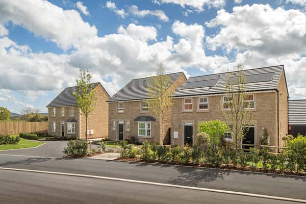 Francis Fields - Image 7