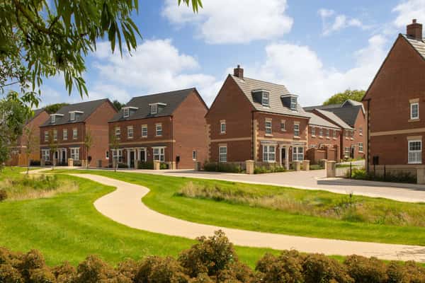 Kings Park - Image 1