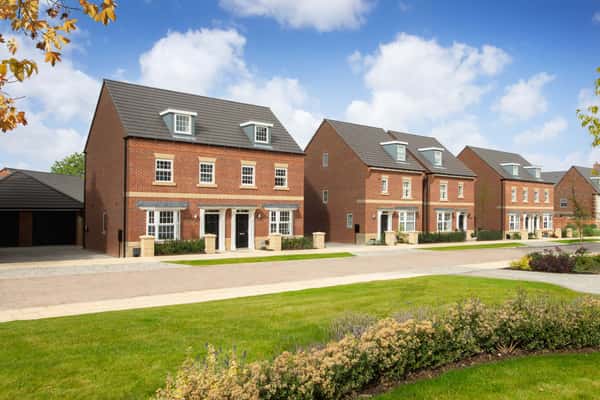 Kings Park - Image 3