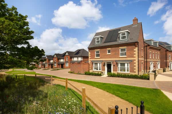 Kings Park - Image 7