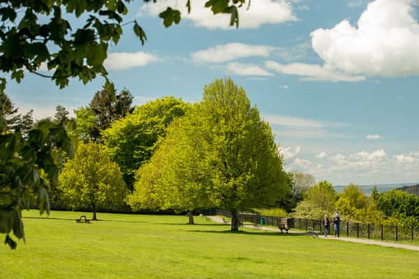 Niveus Walk - Image 7