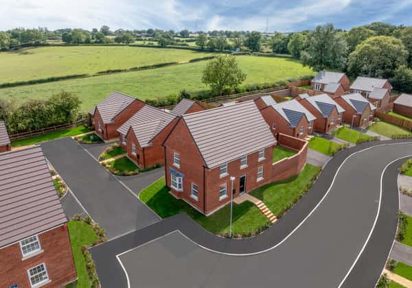 Olive Park - Image 6