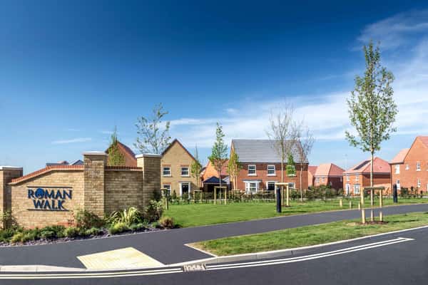 Roman Walk - Image 5