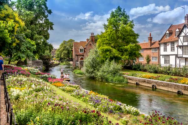 Saxon Fields - Image 10