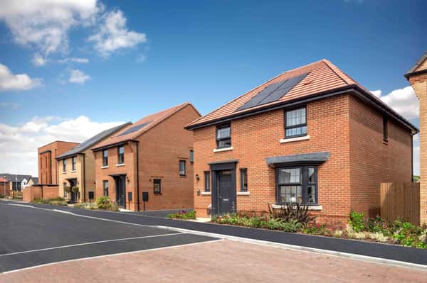 Spitfire Green - Image 5