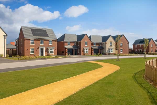 The Catkins - Image 1