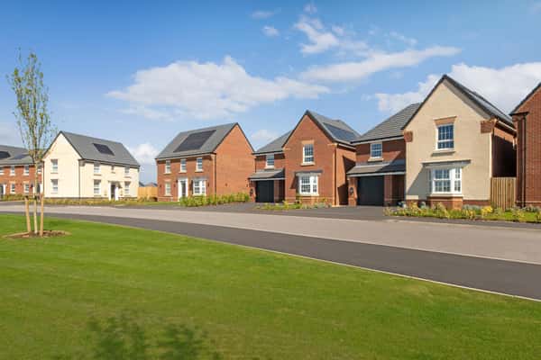 The Catkins - Image 6