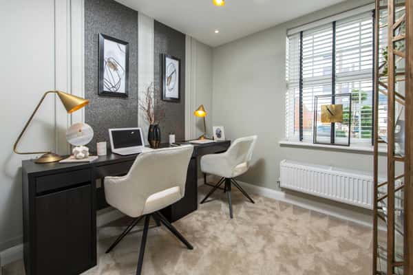 The Catkins - Image 7