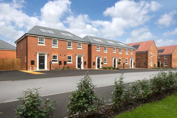 The Damsons - Image 6