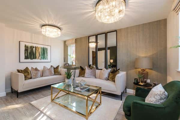 The Lapwings at Burleyfields - Image 4