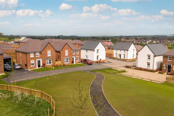 The Lapwings at Burleyfields - Image 6