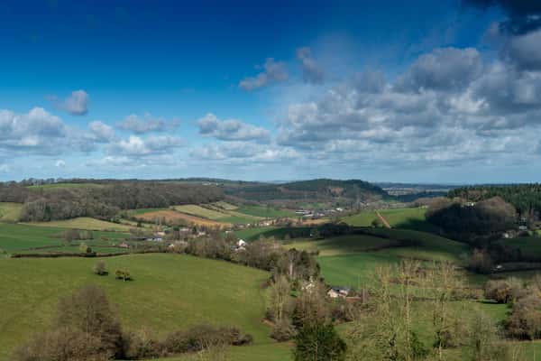 The Orchards - Image 10