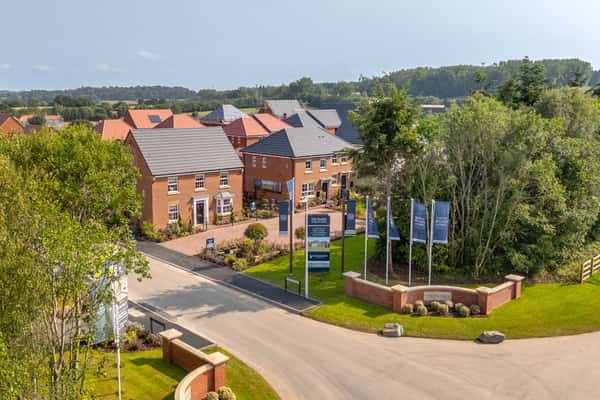 The Pearls - Image 1