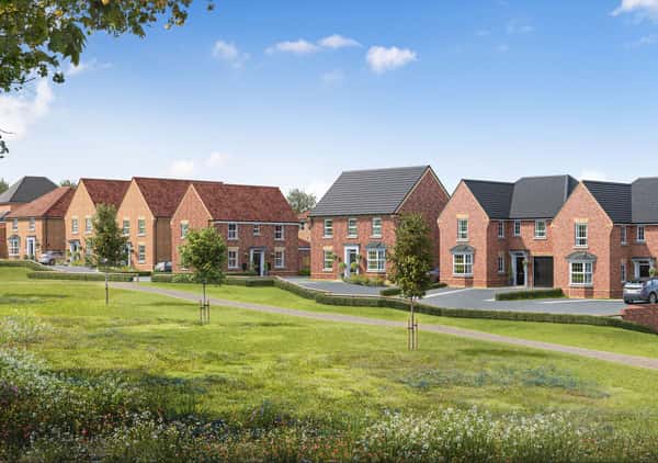 The Pearls - Image 6