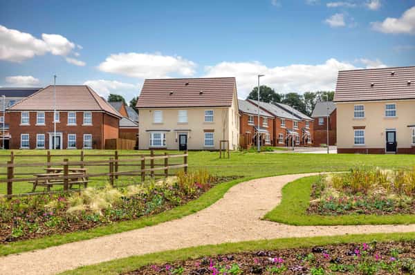 The Poppies - Image 5