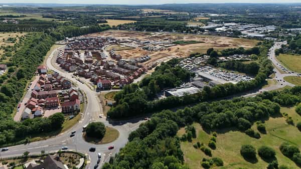 The Poppies - Image 8