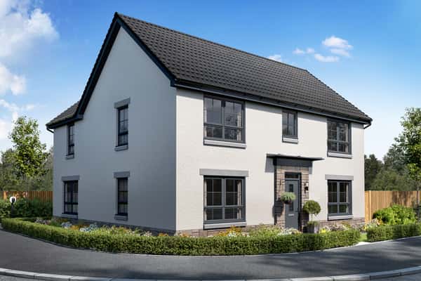 The Woodlands Collection - Image 8