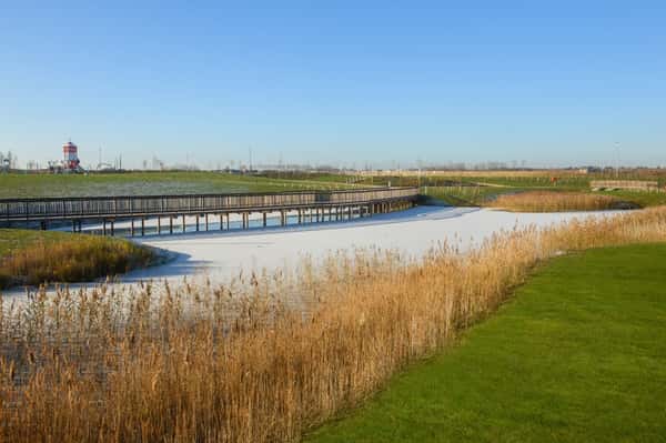 Willow Grove - Image 8