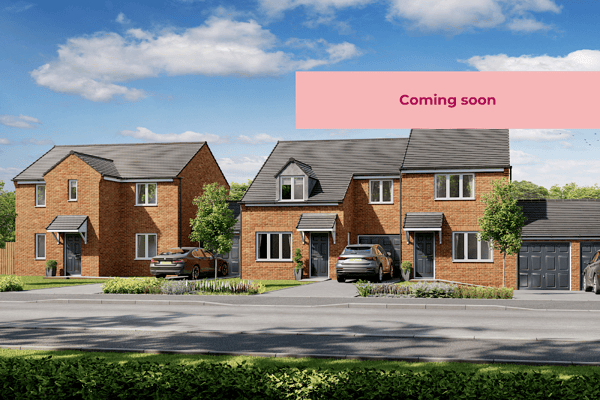 Ousterley Woods - Image 1