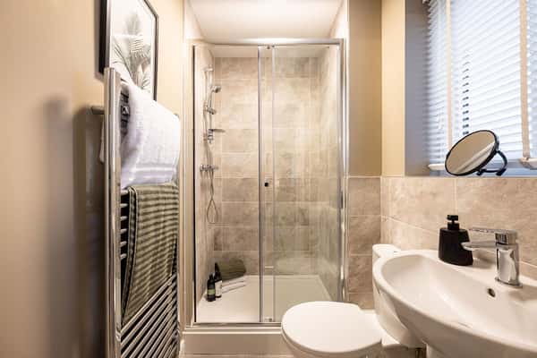 Ousterley Woods - Image 9