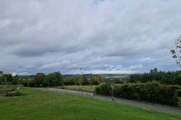 The Woodlands - Image 7