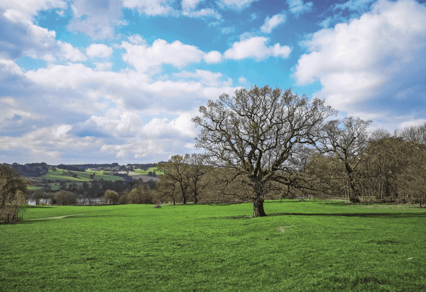 Wentworth View - Image 10