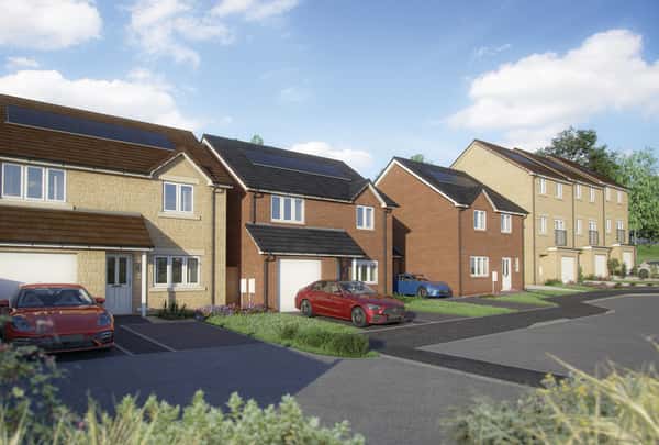 Blue Birch Fields - Image 1