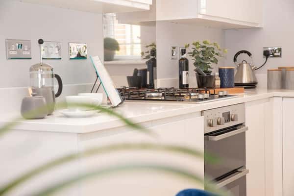 Harrington Park, Pinhoe - Image 4