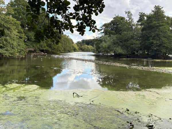 Linden Homes at Linby Meadows - Image 6