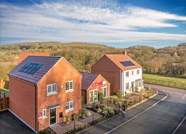 Woodland Glade - Image 1