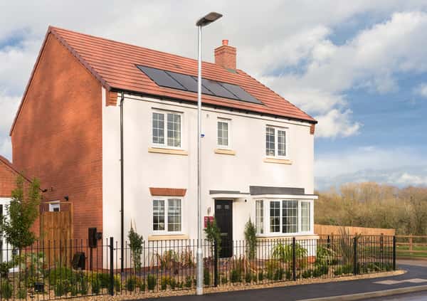 Woodland Glade - Image 11