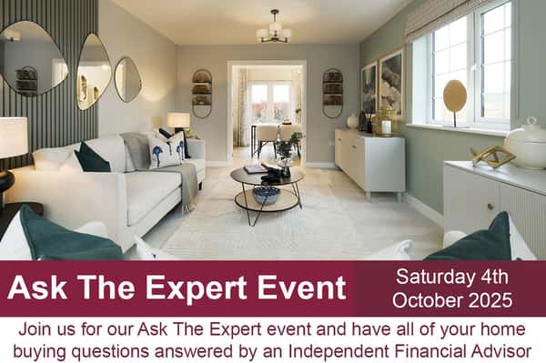 Woodland Glade - Image 2